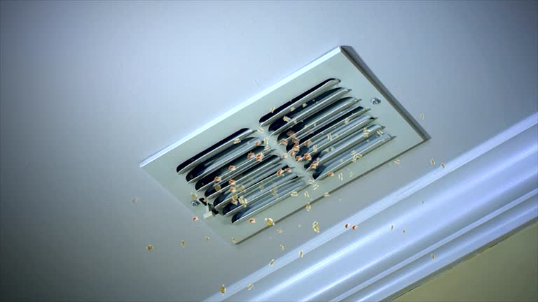 Best Commercial Air Duct Cleaning  in Sanford, FL